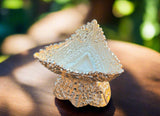 Hand Made Silver Capala #16