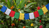 Tibetan Prayer Flags- Set of 5 or 10 #6