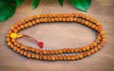 Rudraksha Prayer bead #10