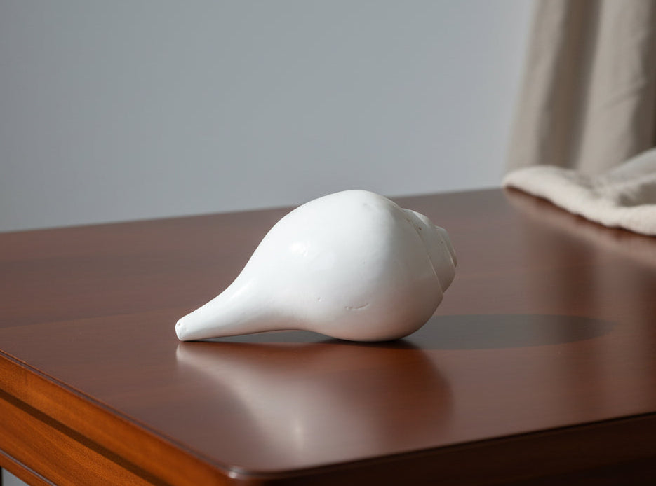 Large White Conch Shell horn #4