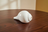 Large White Conch Shell horn #4