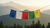 Tibetan Prayer Flags- Set of 5 or 10 #6
