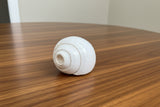 Large White Conch Shell horn #4