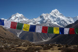Biodegradable Tibetan Prayer Flags (Set of 10)