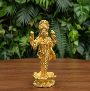 Laxmi Standing #8