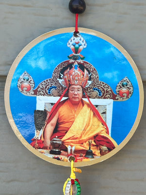 Penor Rinpoche #29