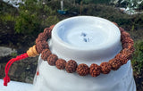 Rudraksha Wrist Mala with Red Cord #25