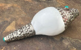 Ornate Small Conch