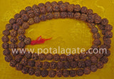 Rudraksha Prayer bead #10