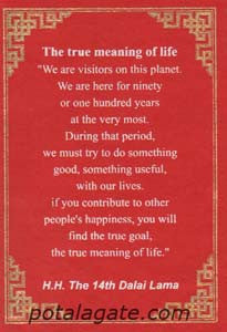 True Meaning of Life GC #15