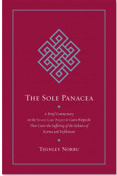The Sole Panecea #18