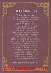 Selfishness #11
