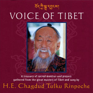 Voice of Tibet #1