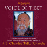 Voice of Tibet #1