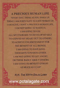 Precious Human Life Greeting Card #4
