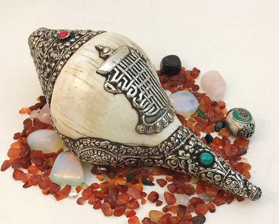 Silver Kalachakra Conch Shell