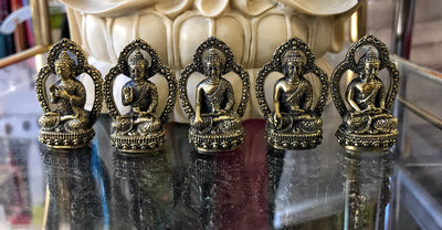 Five Buddha Family #23