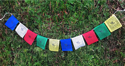 Prayer Flag Lungta #9