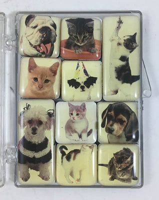 Butterfly Magnet Box #17