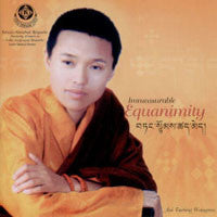 Immeasurable Equanimity #30
