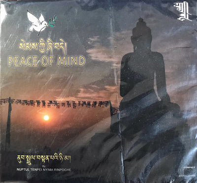 Peace of Mind #21
