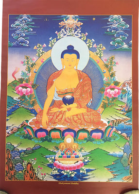 Buddha Poster #1