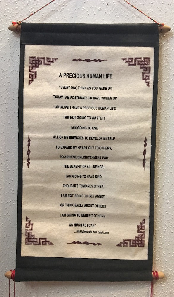 Precious Human Life: Dalai Lama #6