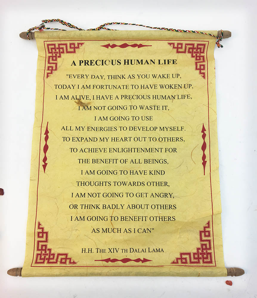 Precious Human Life #1