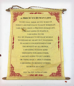Precious Human Life #1