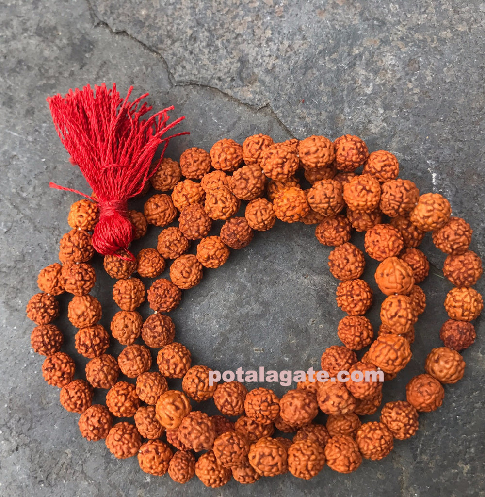 Rudraksha Prayer bead #10