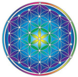 Flower of life Decal #