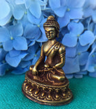 Shakyamuni Buddha #5