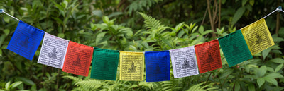 Guru Rinpoche (Padmasambhava) Tiny Prayer Flag #27