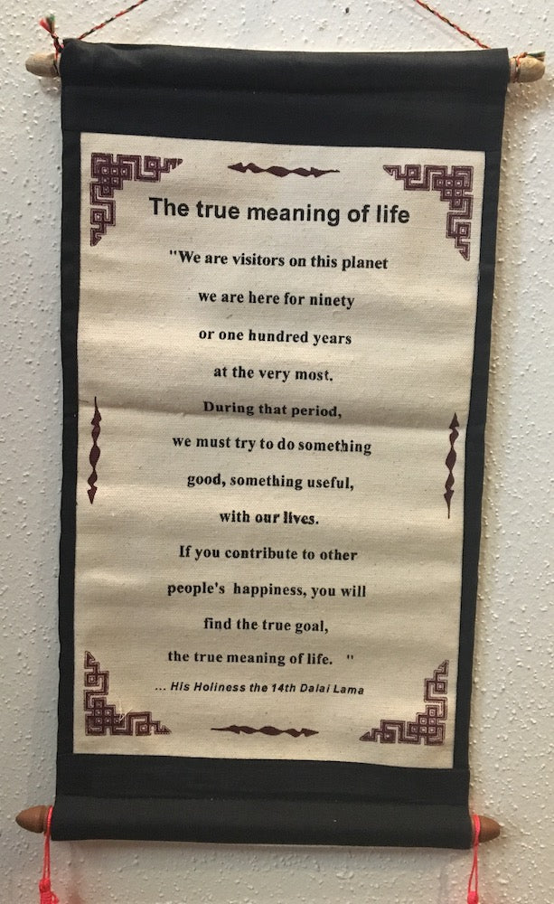 True Meaning of Life: Dalai Lama #8