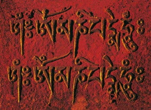 Om Mani Greeting Card #41