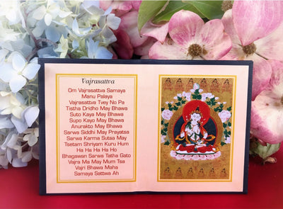 Vajrasattva Folding Thangka #14
